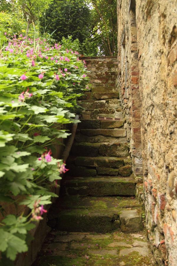 Guest house La Tour Bocsozel *